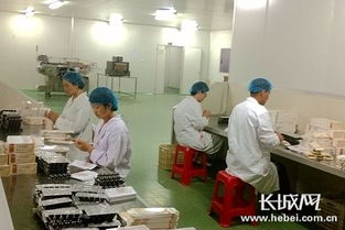 河北省2017年工業(yè)新產(chǎn)品新技術(shù)開發(fā)指導(dǎo)計(jì)劃 十大行業(yè)724項(xiàng)創(chuàng)新項(xiàng)目引領(lǐng)轉(zhuǎn)型升級